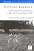 Picture Perfect: Landscape, Place And Travel in British Cinema Before 1930 (A British Silent Cinema Festival Book) (New Research in British Film and...
