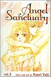 Angel Sanctuary 3