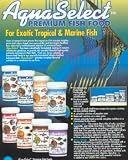 FREEZE-DRIED BLOOD WORMS 10 GRAM