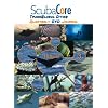 ScubaCore DVD Issue 3