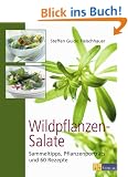 Wildpflanzen-Salate: Sammeltipps, Pflanzenportr�ts und 60 Rezepte