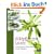 Wildpflanzen-Salate: Sammeltipps, Pflanzenportr�ts und 60 Rezepte