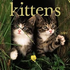 Kittens Wall calendar 2005