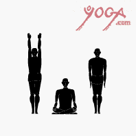 B.K.S. Iyengar, Yoga '93 - Class 3 (Tape 1) - 12 Standing Poses: Format-VHS