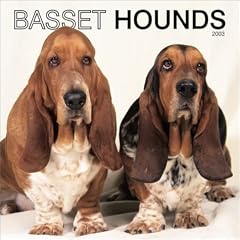 Basset Hounds: 2003
