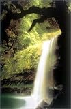 Tropical Waterfall [PP-0279] [ポスター]