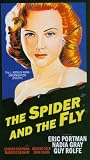 The Spider And The Fly