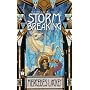 Storm Breaking (The Mage Storms, Book 3)