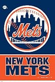 New York Mets MLB 28 x 40 Vertical Flag