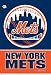 New York Mets MLB 28 x 40 Vertical Flag