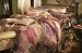 21PCS MOROCCAN W/ SHEETS / CURTAINS BED IN A BAG QUEEN