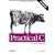 Practical C Programming (A Nutshell handbook)
