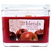 Vanilla & Apple Soy Candle