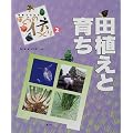 写真でわかるぼくらのイネつくり〈2〉田植えと育ち