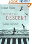 Contours of Descent: U.S. Economic Fractures and the Landscape of Global Austerity