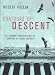 Contours of Descent: U.S. Economic Fractures and the Landscape of Global Austerity