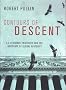 Contours of Descent: U.S. Economic Fractures and the Landscape of Global Austerity