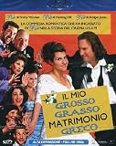 Il Mio Grosso Grasso Matrimonio Greco