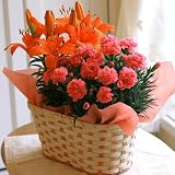 �y��̓����x��ăS�����ˁz�J�[�l�[�V�����ƕS���̃Z�b�g�y�S�����������z