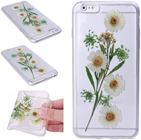 Real Flower Case for iPhone6Plus (5.5"),Mydiary Handmade White daisy flower Real Dried Pressed Flowers TPU Case Cover for iPhone6S Plus iPhone6Plus (5.5")