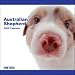 Australian Shepherd The Dog 2009 Wall Calendar