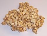 Scott's Cakes White Chocolate Carmel Popcorn in a Mini Christmas Wreath Tin