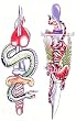 Snake and Tiger Knives Temporary Tattoo Body Art