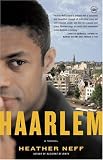Haarlem : A Novel