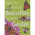 How to Attract Butterflies to Your Garden