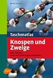 Taschenatlas Knospen und Zweige