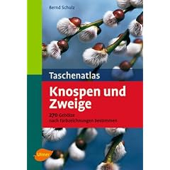 Taschenatlas Knospen und Zweige