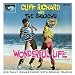 Wonderful Life