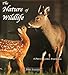 The Nature of Wildlife: A Photographic Portrayal