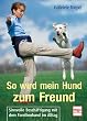 So wird mein Hund zum Freund: Sinnvolle Besch�ftigung mit dem Familienhund im Alltag