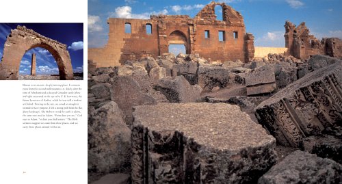 Walking the Bible: A Photographic Journey under Commentaries in The Books Store