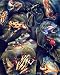 Dan Mcmanis Wild Tropical Frogs Wow Art Poster Print - 16 X 20