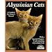 Abyssinian Cats