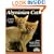 Abyssinian Cats: Everything About Acquisition, Care, Nutrition, Behavior, Health Care, and Breeding (Barron's Compete Pet Owner's Manuals)