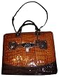 Women's Guess Purse Handbag Lina Camel Multi