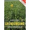 Gr�nd�ngung: Grundlagen der Bodenfruchtbarkeit