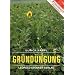 Gr�nd�ngung: Grundlagen der Bodenfruchtbarkeit