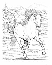 Wonderful World of Horses Coloring Book (Dover Coloring Book)