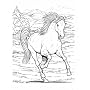 Wonderful World of Horses Coloring Book (Dover Coloring Book)