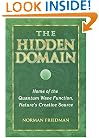 The Hidden Domain: Home of the Quantum Wave Function, Nature's Creative Source