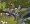 Sid Meier's Railroads!