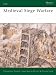Mediaeval Siege Warfare