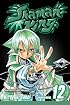 Shaman King, Volume 12 (Shaman King (Graphic Novels))