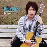 Bluebird