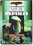 Nature - Reptiles