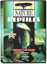 Nature - Reptiles